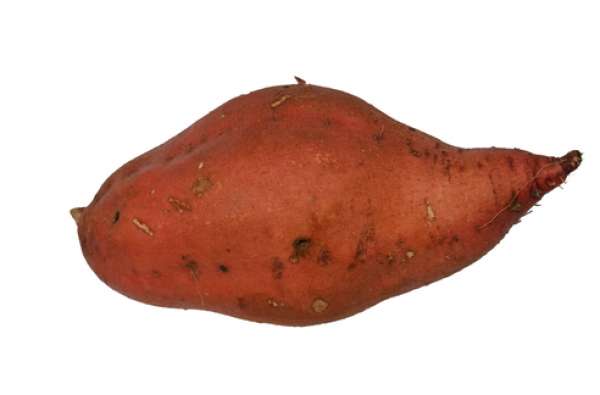 Batata Doce Laranja Bio