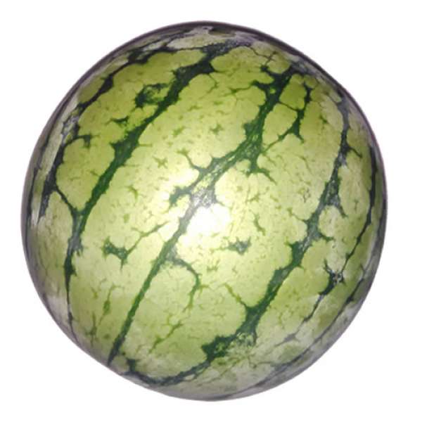 Melancia Amarela Bio
