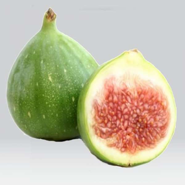 Figo Pingo Mel Bio