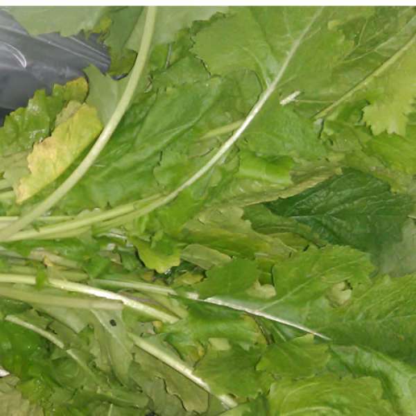Nabiça Bio, molho 300g