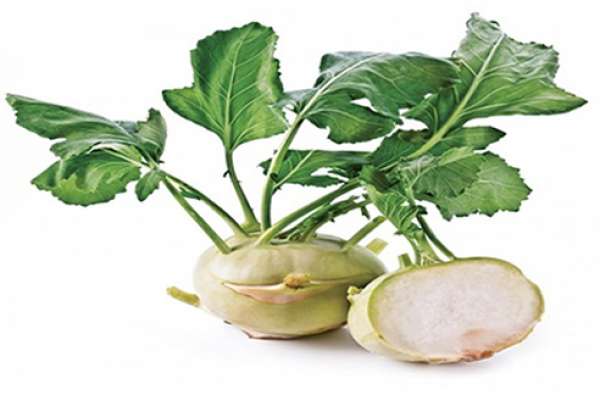 Couve Rábano Verde Bio
