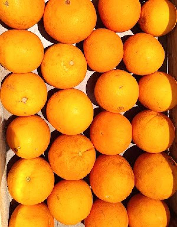 Laranja Bio