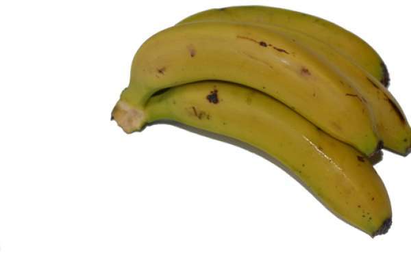 Banana Bio